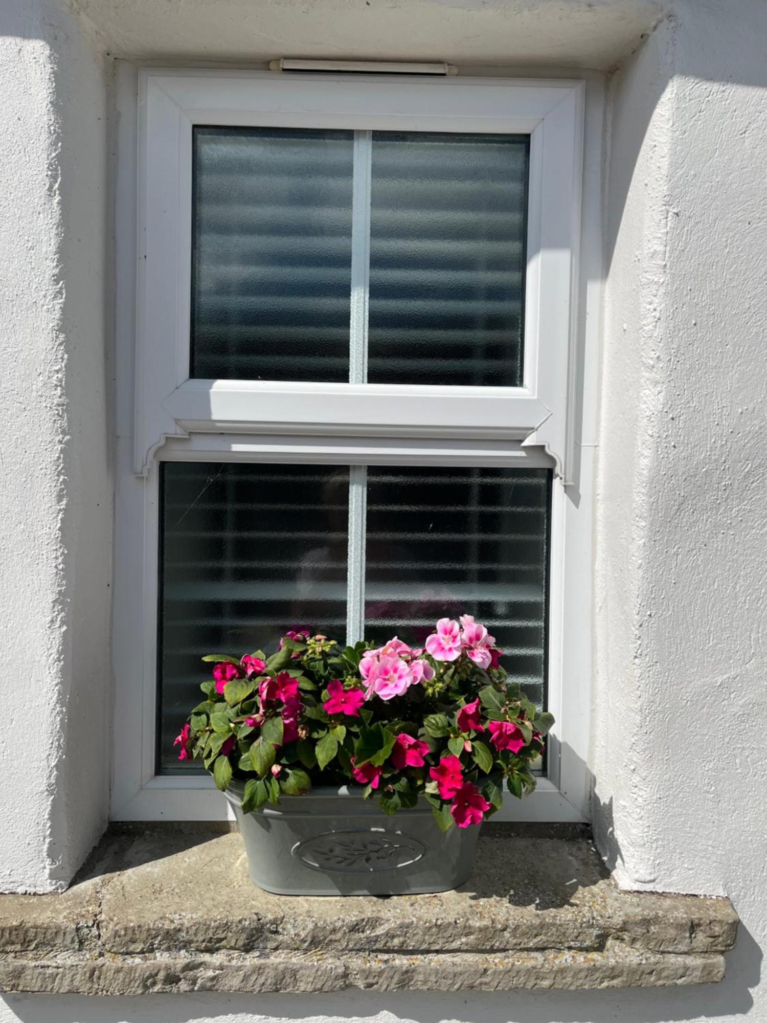 The Cottage At Ashbrook - Charming Country Cottage Near Belfast Buitenkant foto